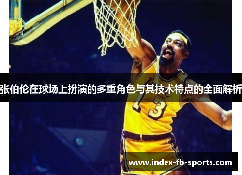 张伯伦在球场上扮演的多重角色与其技术特点的全面解析