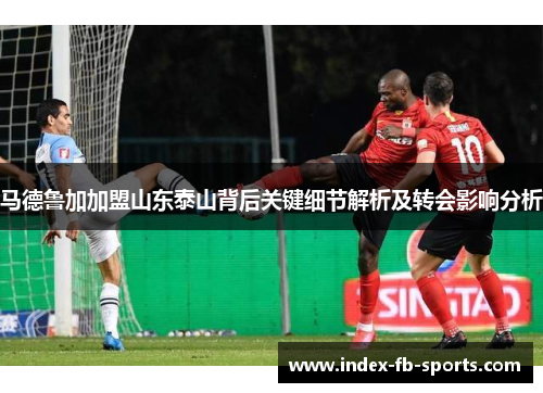 马德鲁加加盟山东泰山背后关键细节解析及转会影响分析